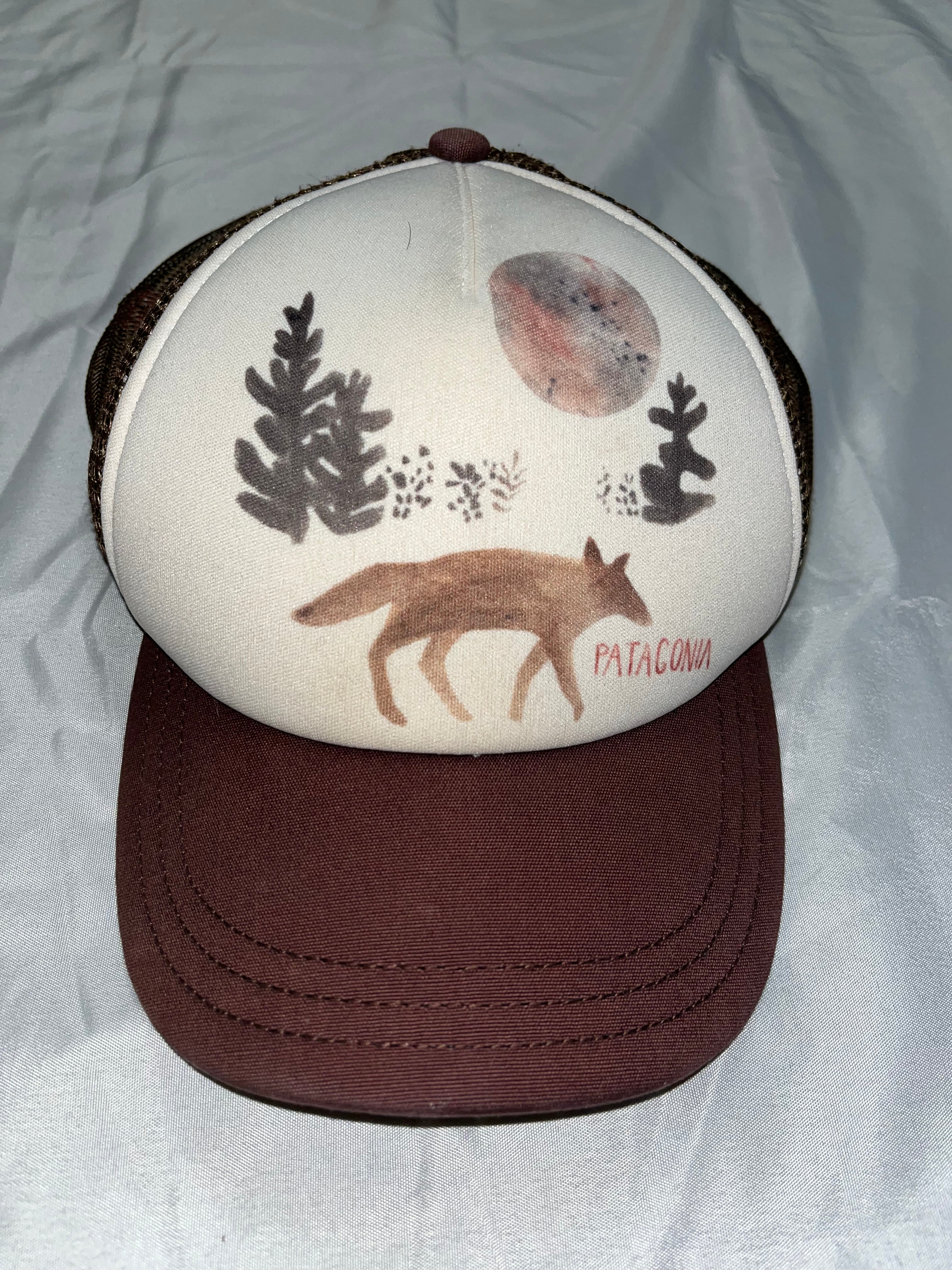 Patagonia Trucker hat