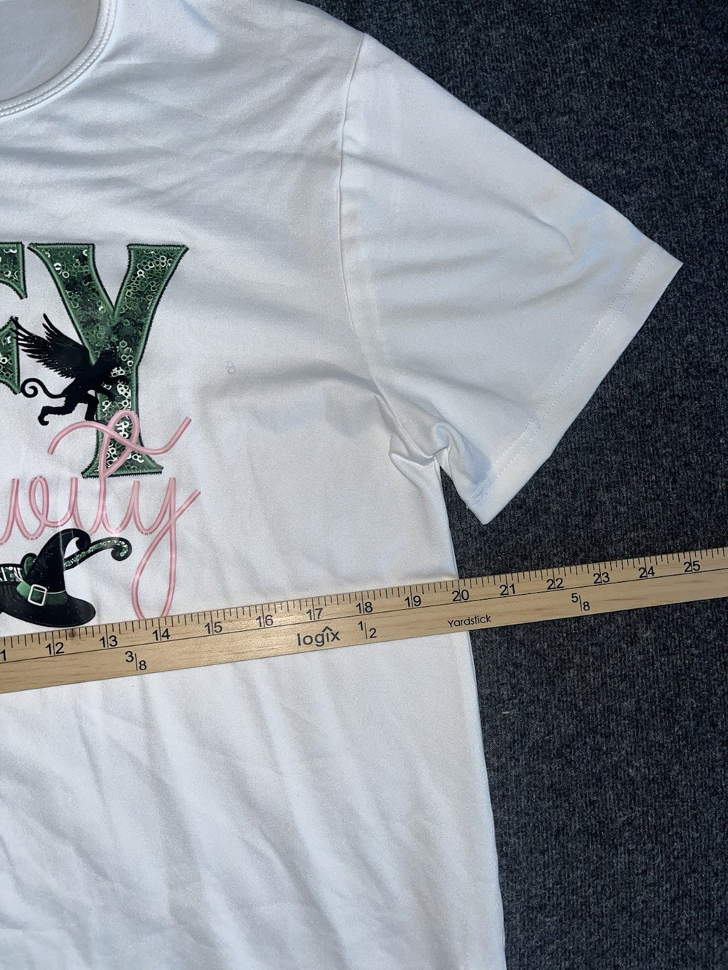 Defy Gravity Wicked Themed T Shirts Women’s XL. 
